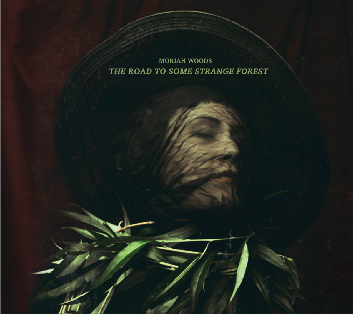 The Road To Some Strange Forest