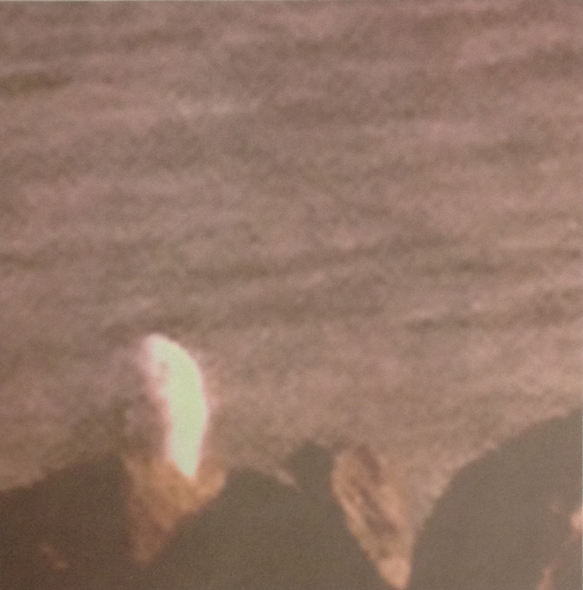 Graveyard of the Sea