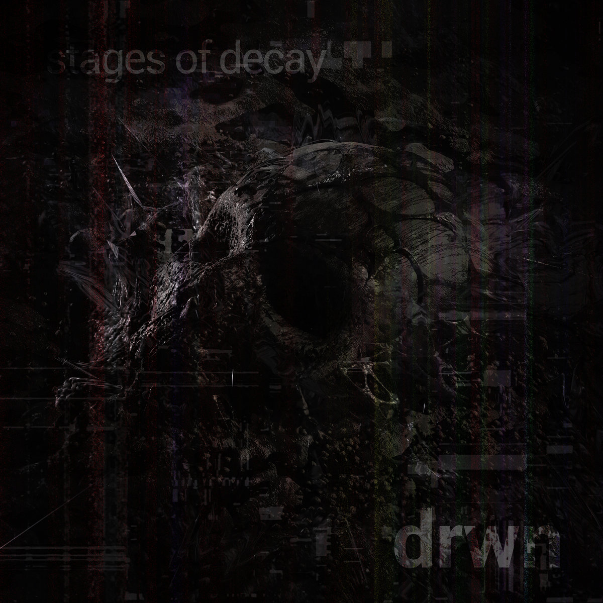 stages of decay