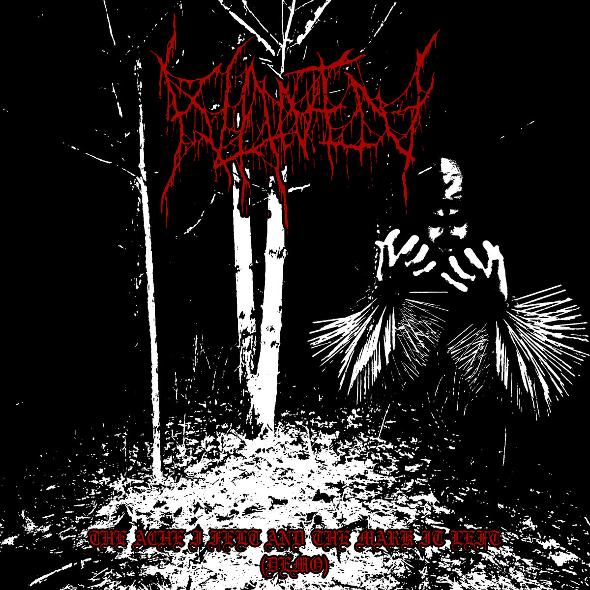 The Ache I Felt and the Mark it Left (Demo)