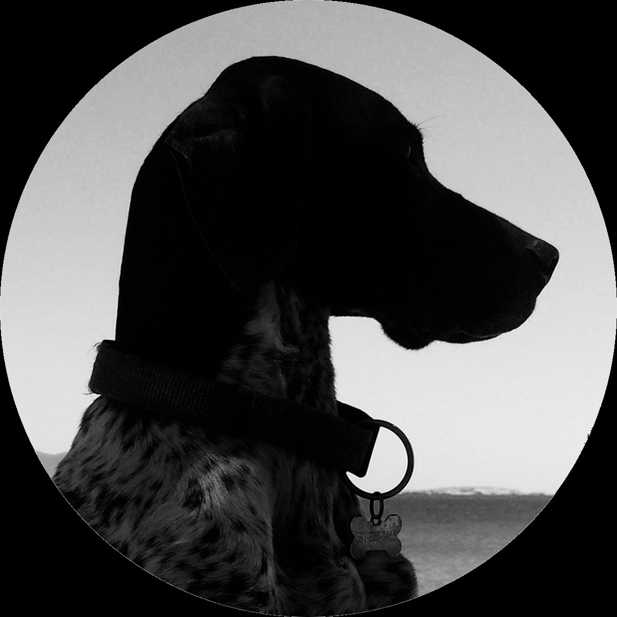 A Strange Light From The East