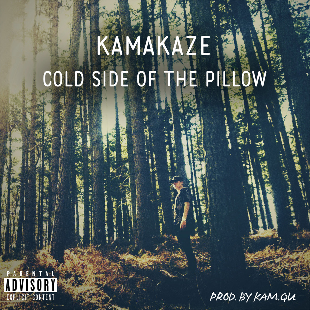 Cold Side Of The Pillow