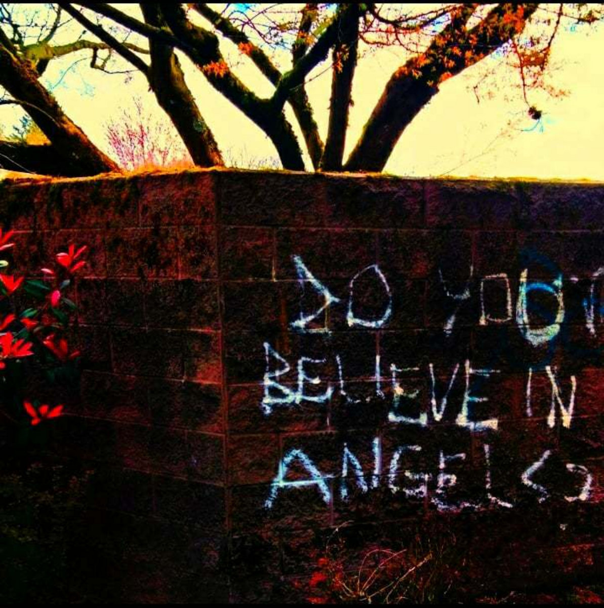 Do you Believe in Angels?