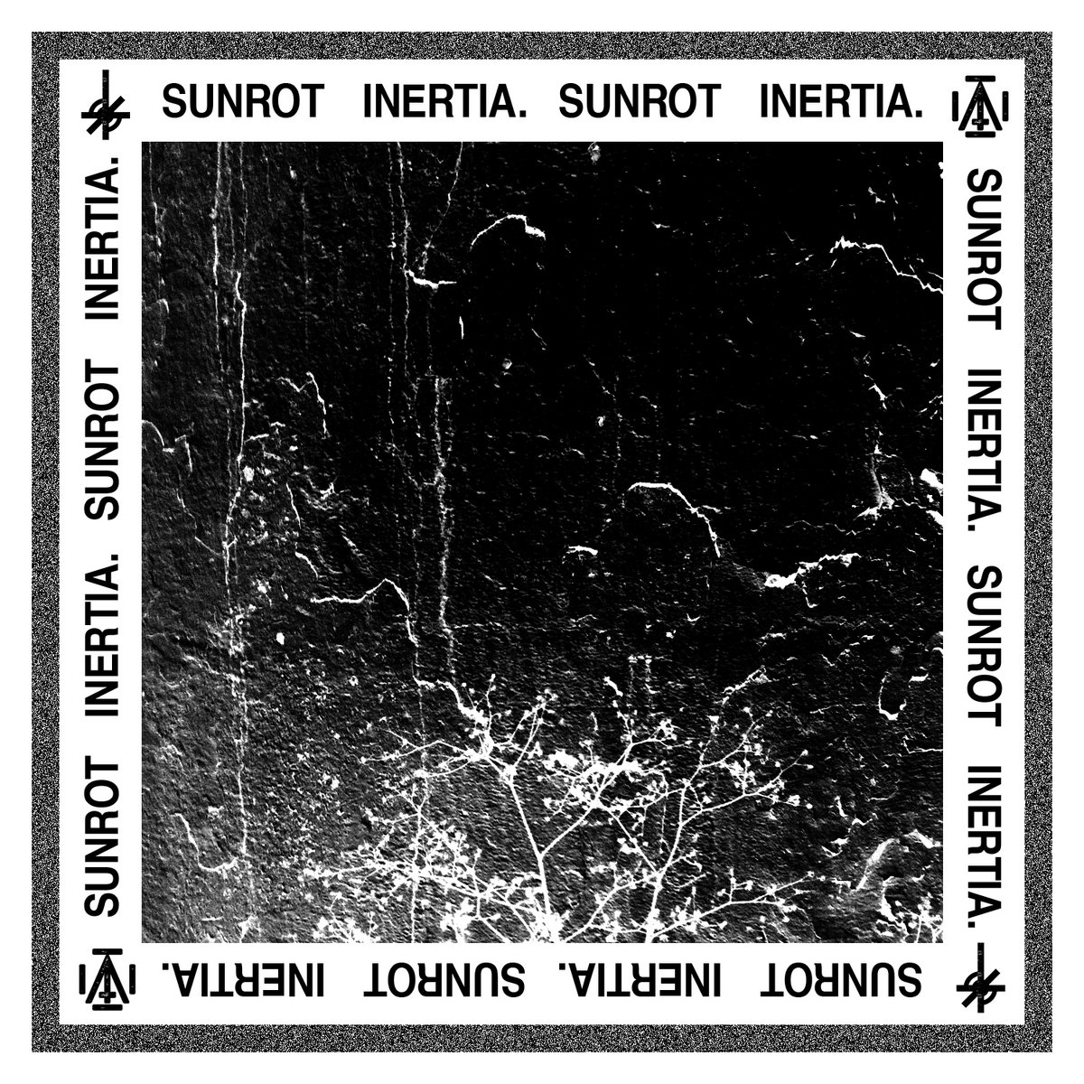 Sunrot // Inertia. Split