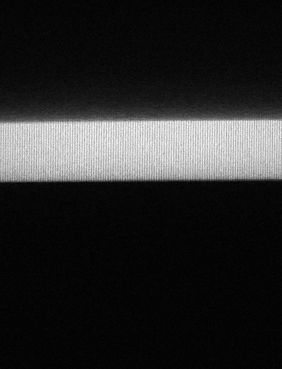 Trees / Lucifer transit over Jupiter