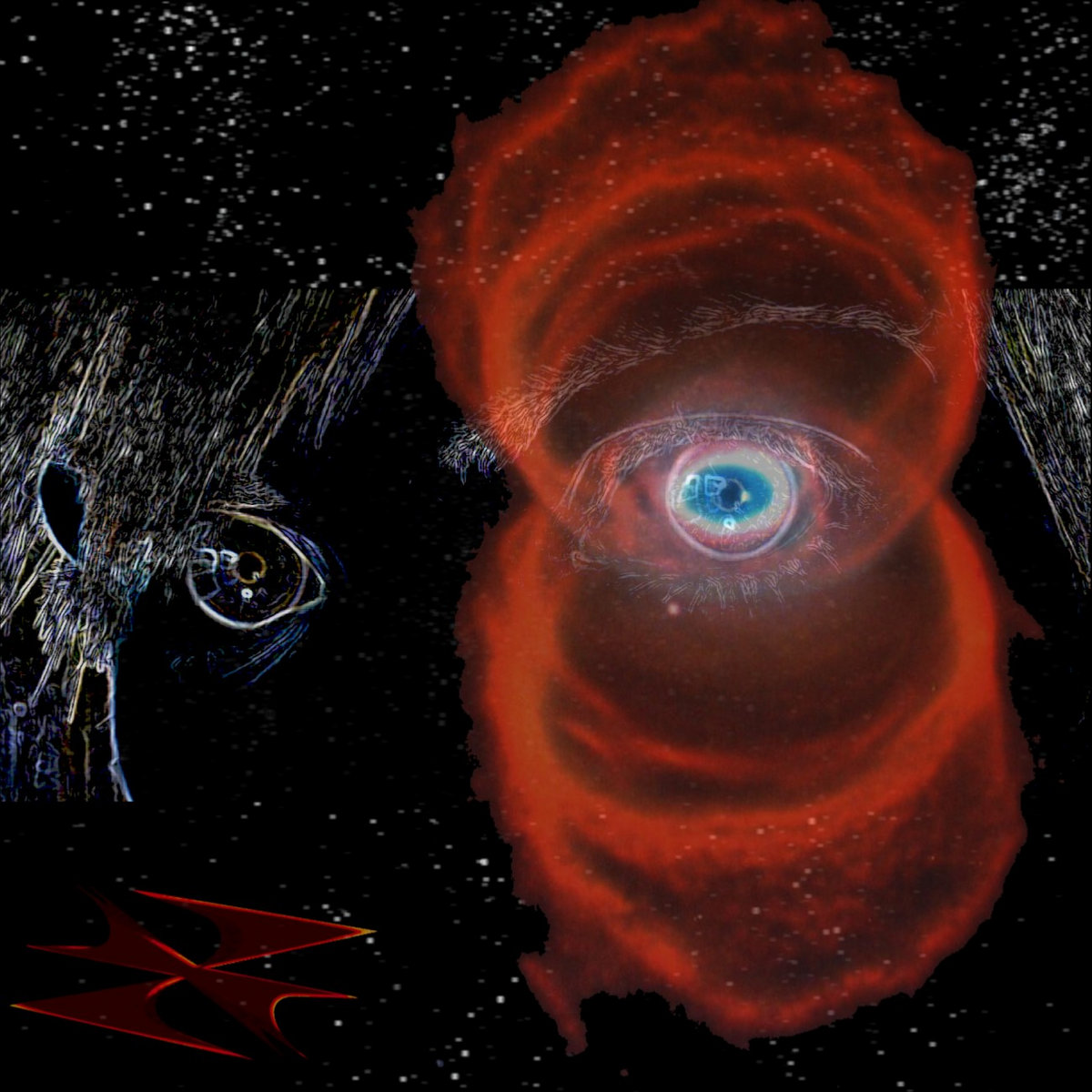 The Journey Of A Dreamer