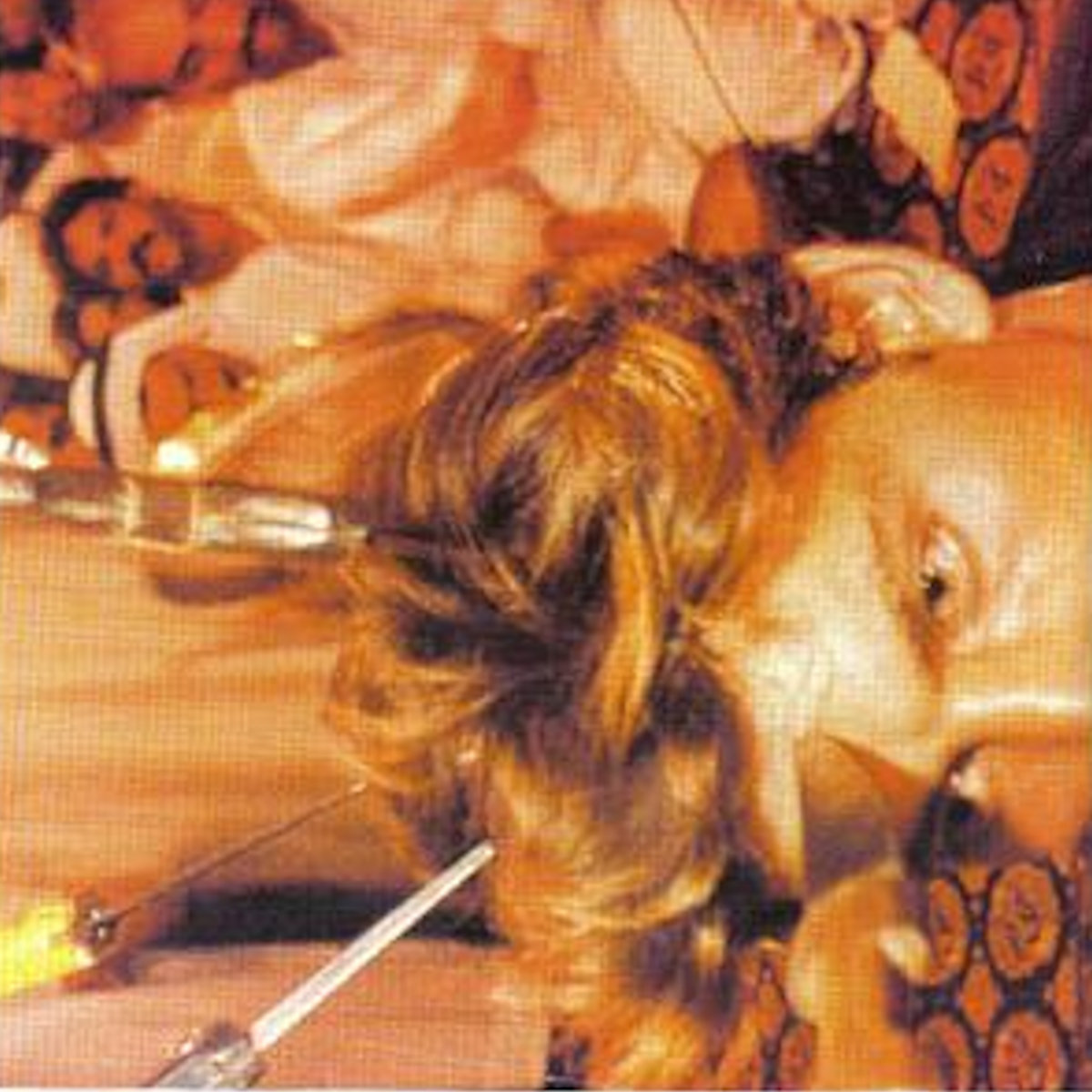 When Dracula thinks "Look at me"