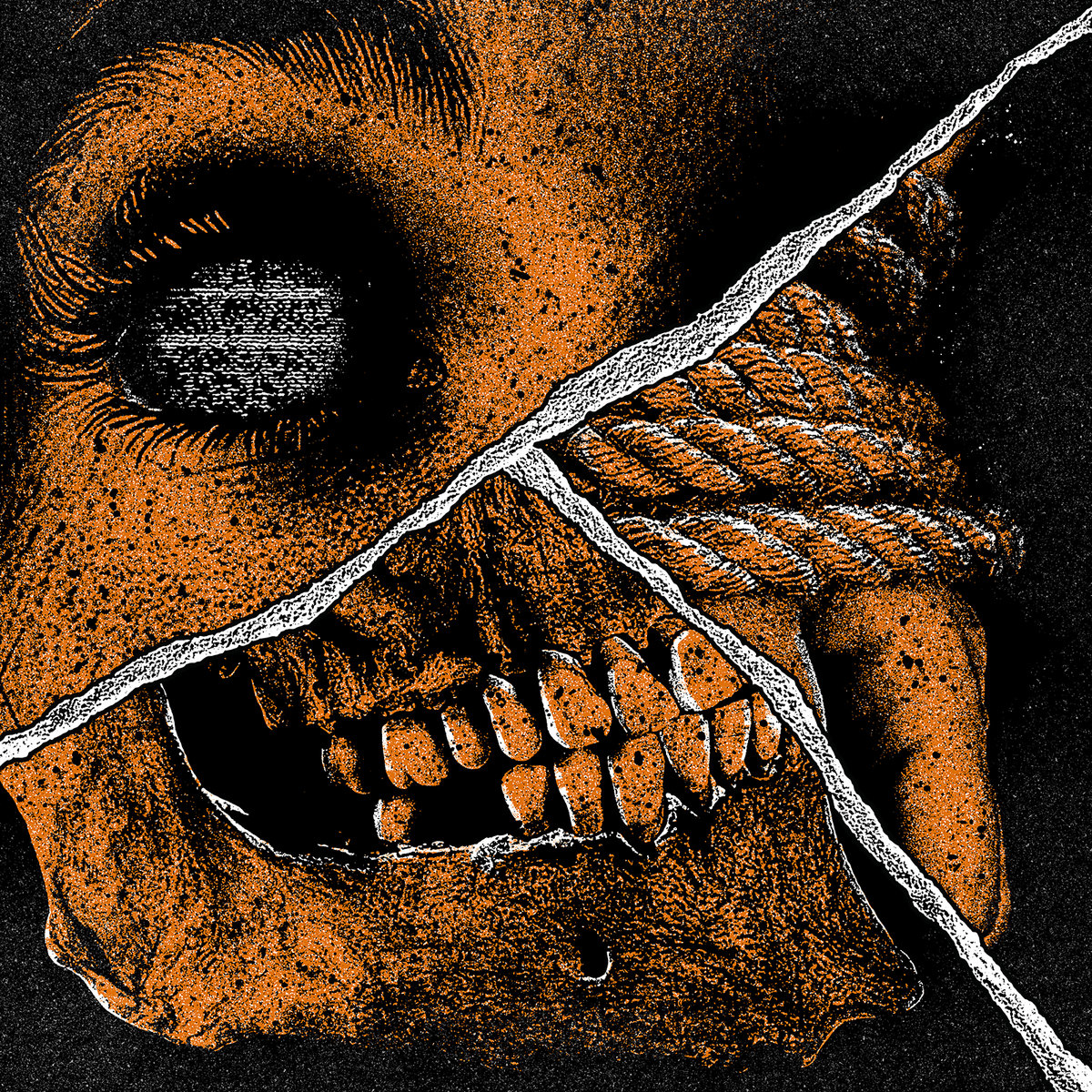 The Serpent, The Rainbow, The Curse