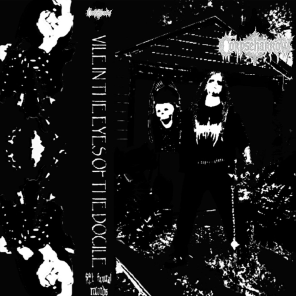 Vile In The Eyes Of The Docile