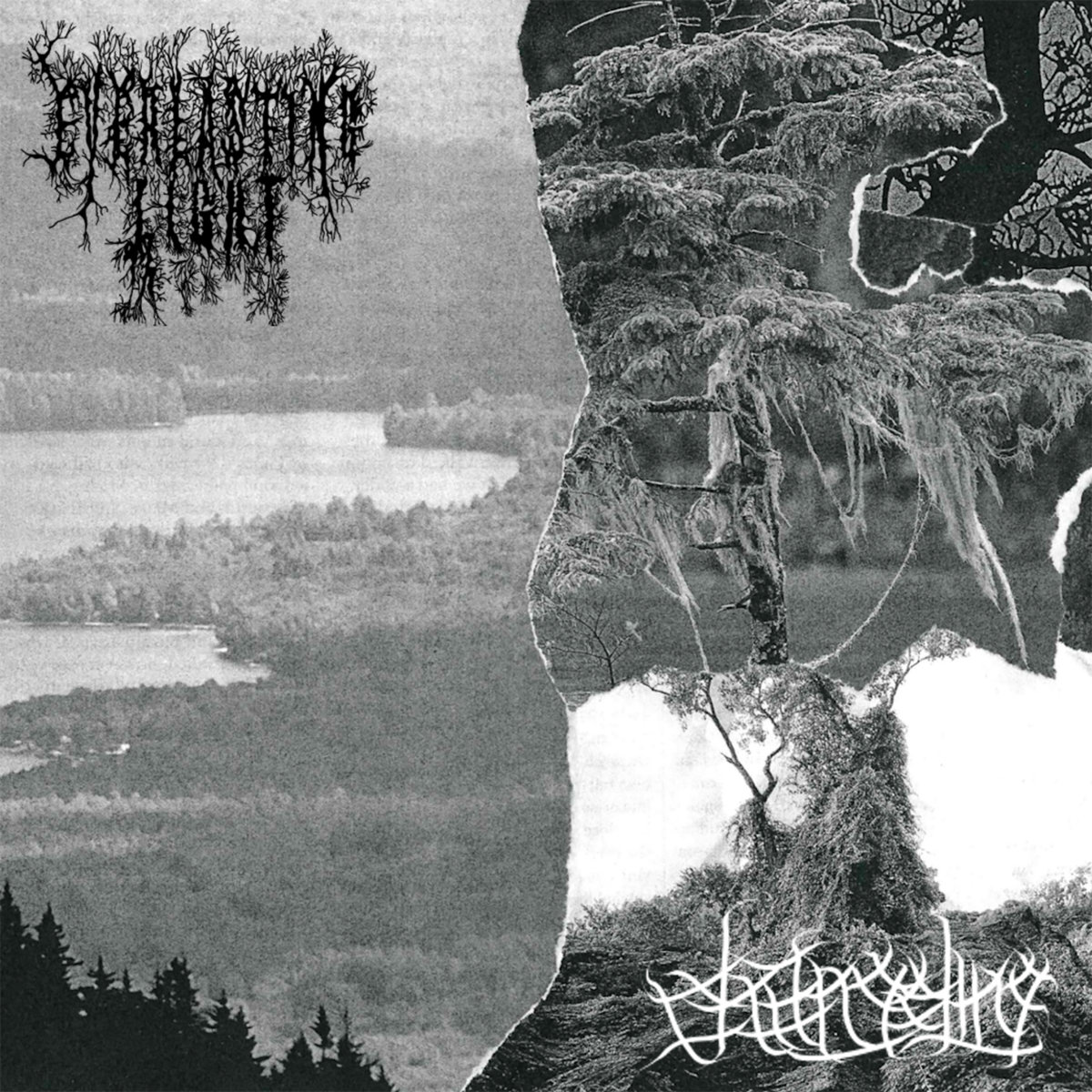 Split with Changeling