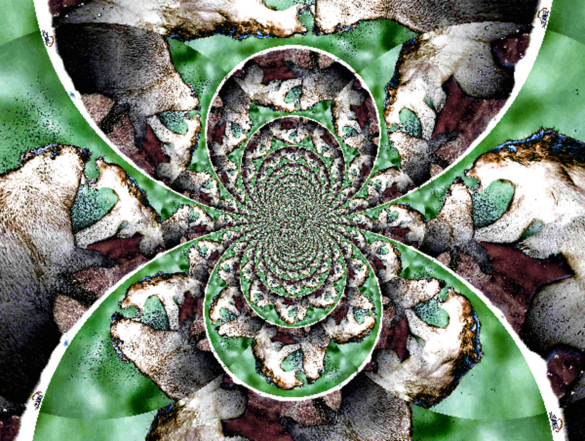 What Causes Effect Volume 2