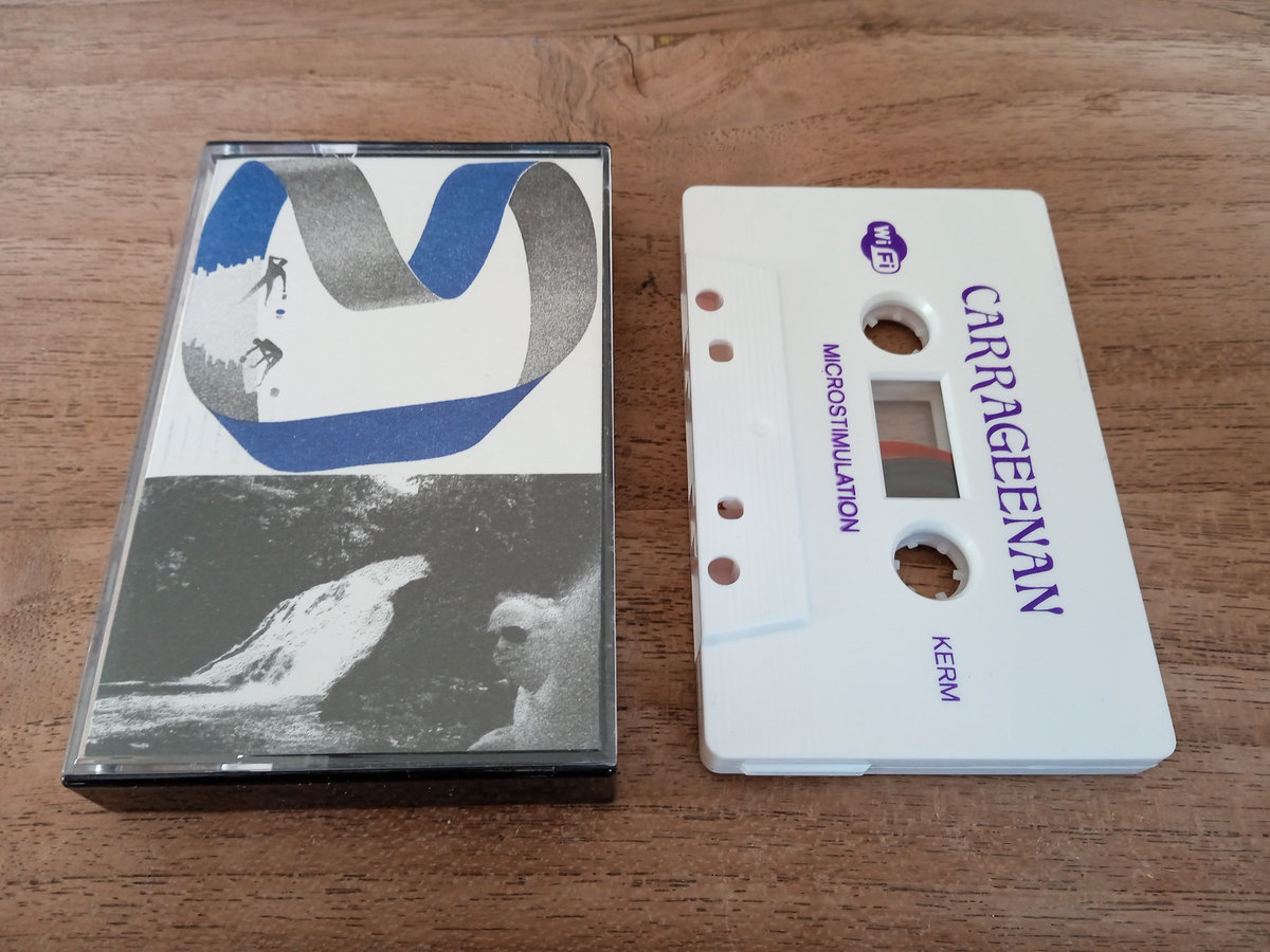 KRM28 - Carrageenan - Microstimulation