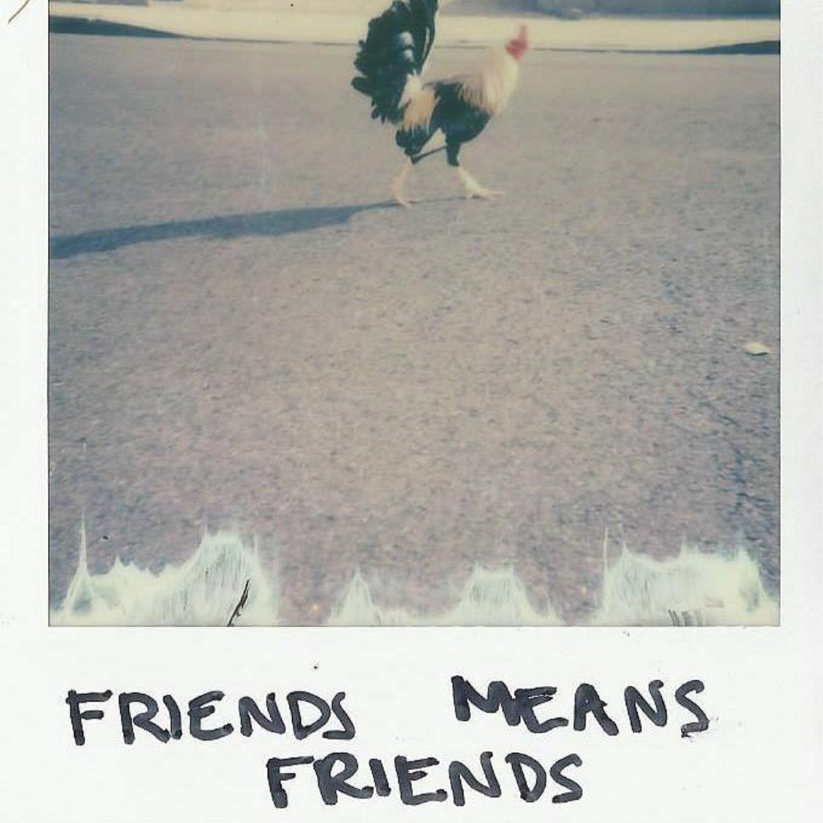 Friends Means Friends