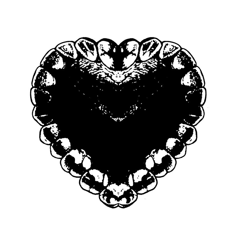 ILL / It Will Not Die