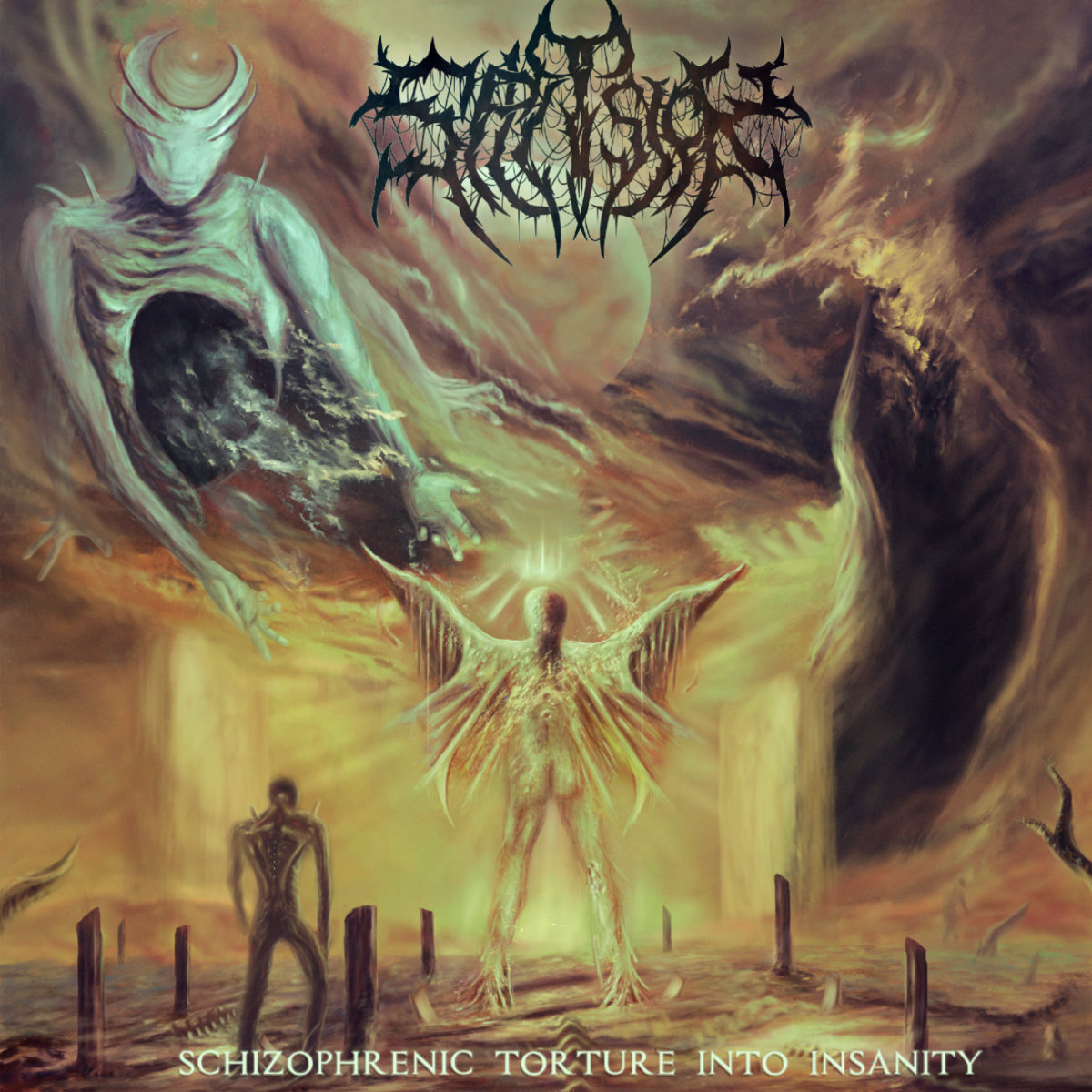 Schizophrenic Torture Into Insanity