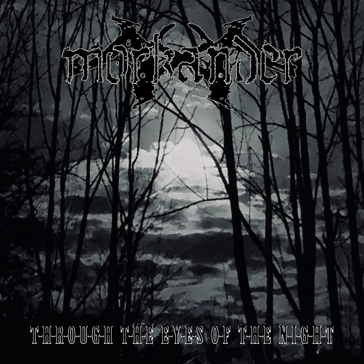 Through The Eyes Of The Night