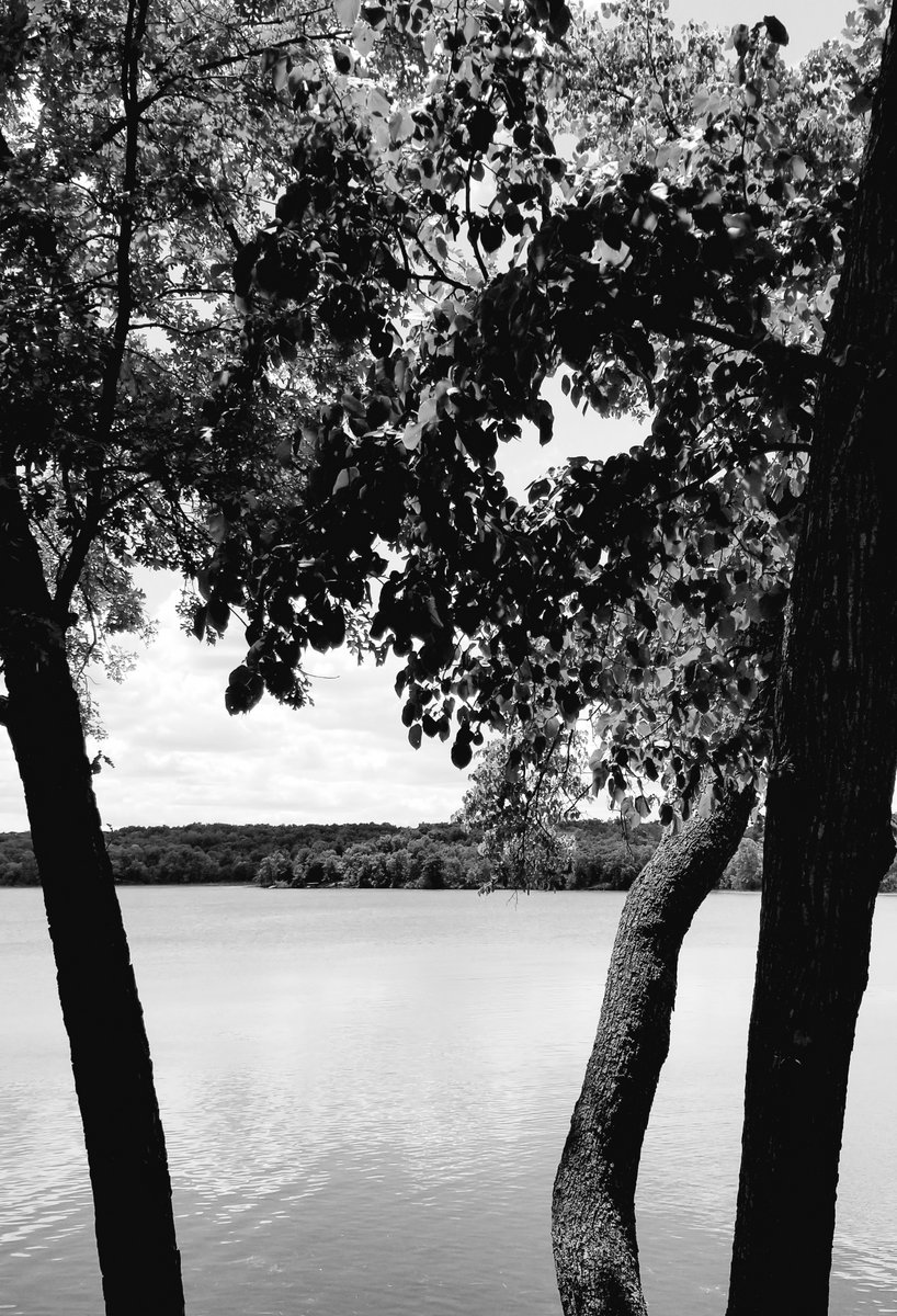 drifting towards obscurity