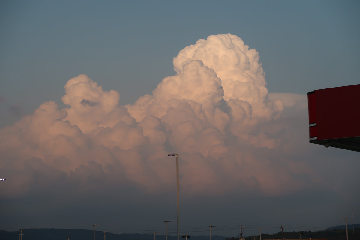 karoshi (feat. Rotnest)