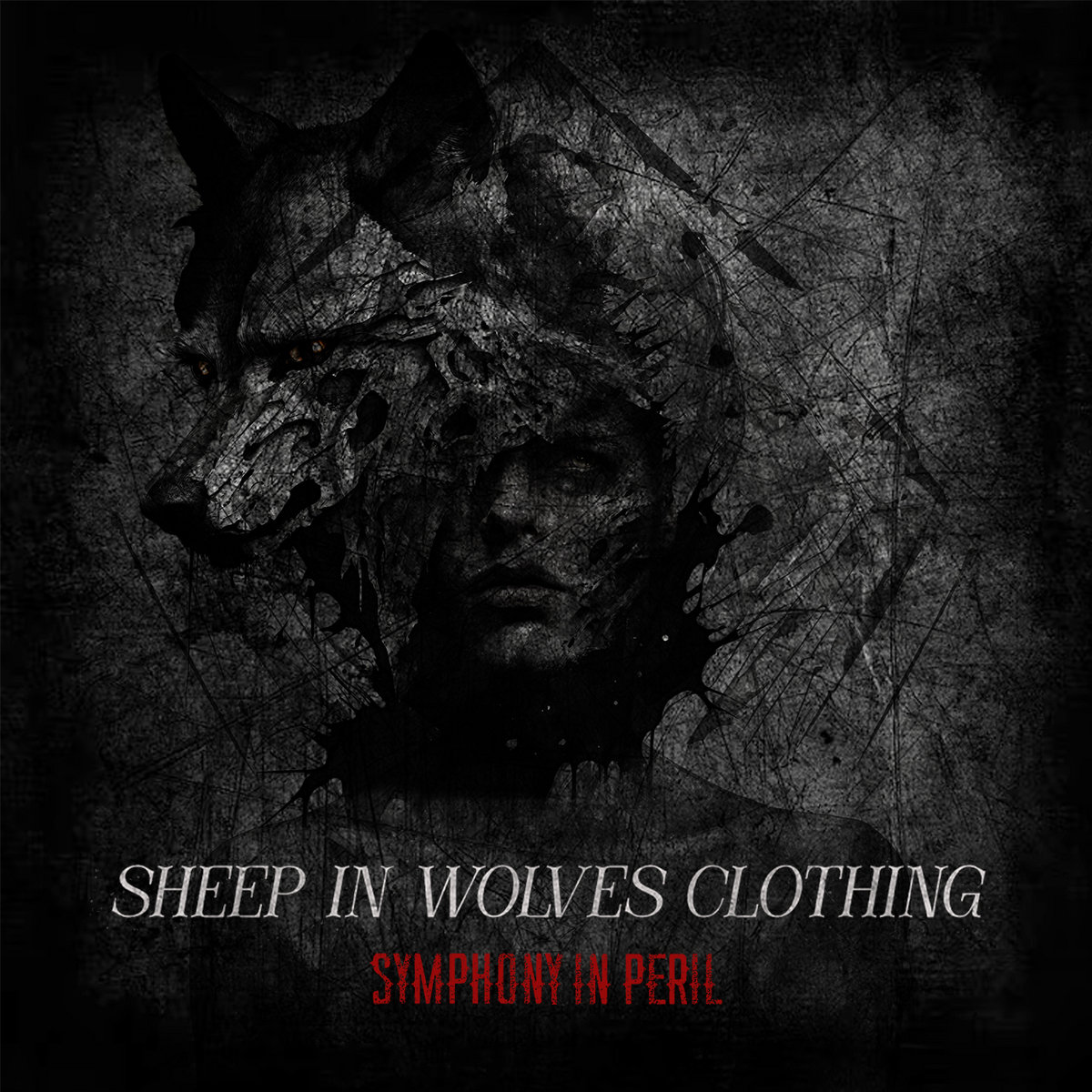 Sheep in Wolves Clothing - album single