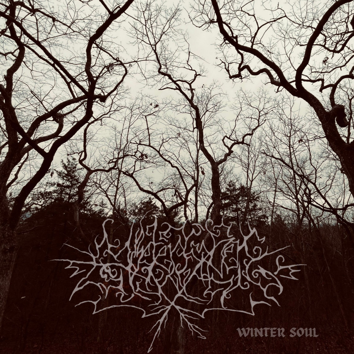 Winter Soul