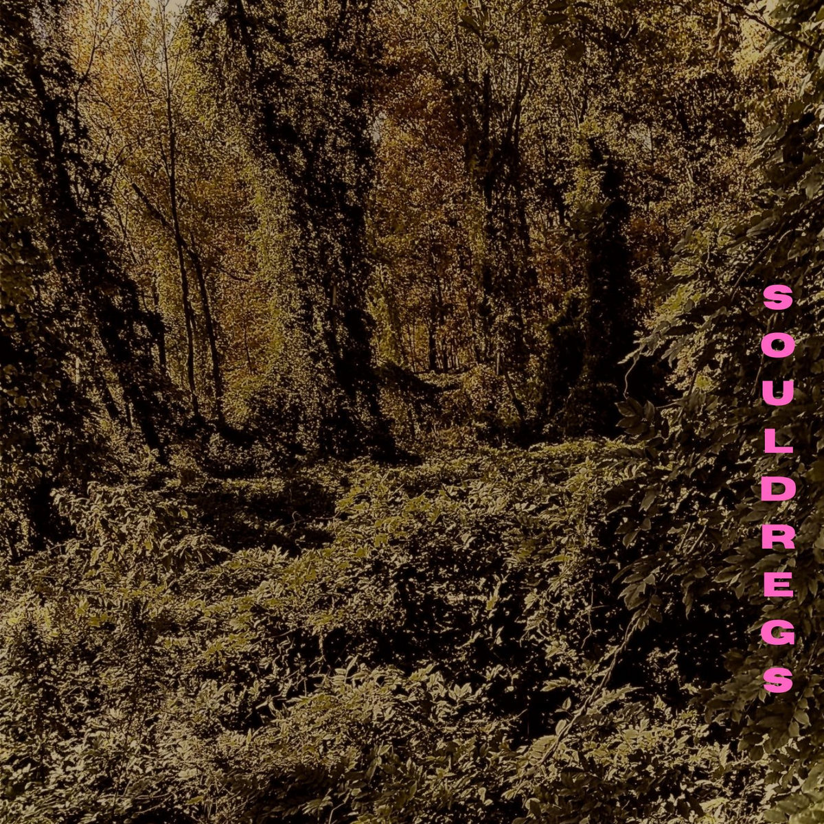 SOUL DREGS