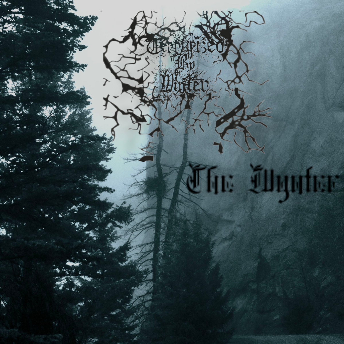 The Wynter