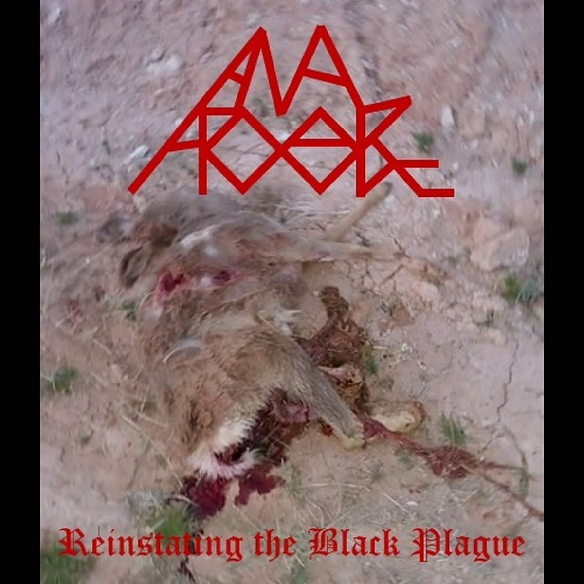 Reinstating the Black Plague