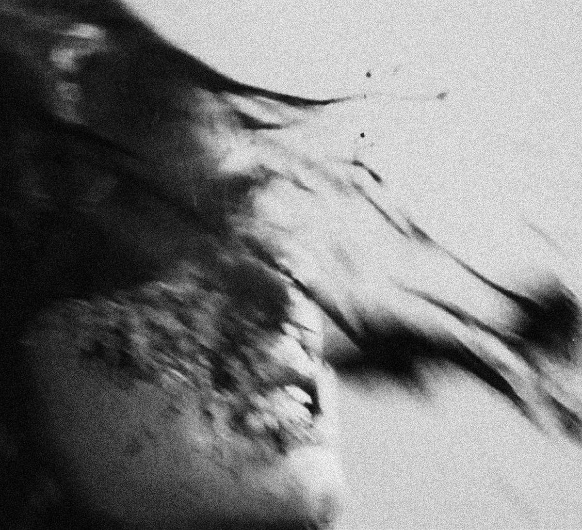 Prosthetic Wounds (demo)