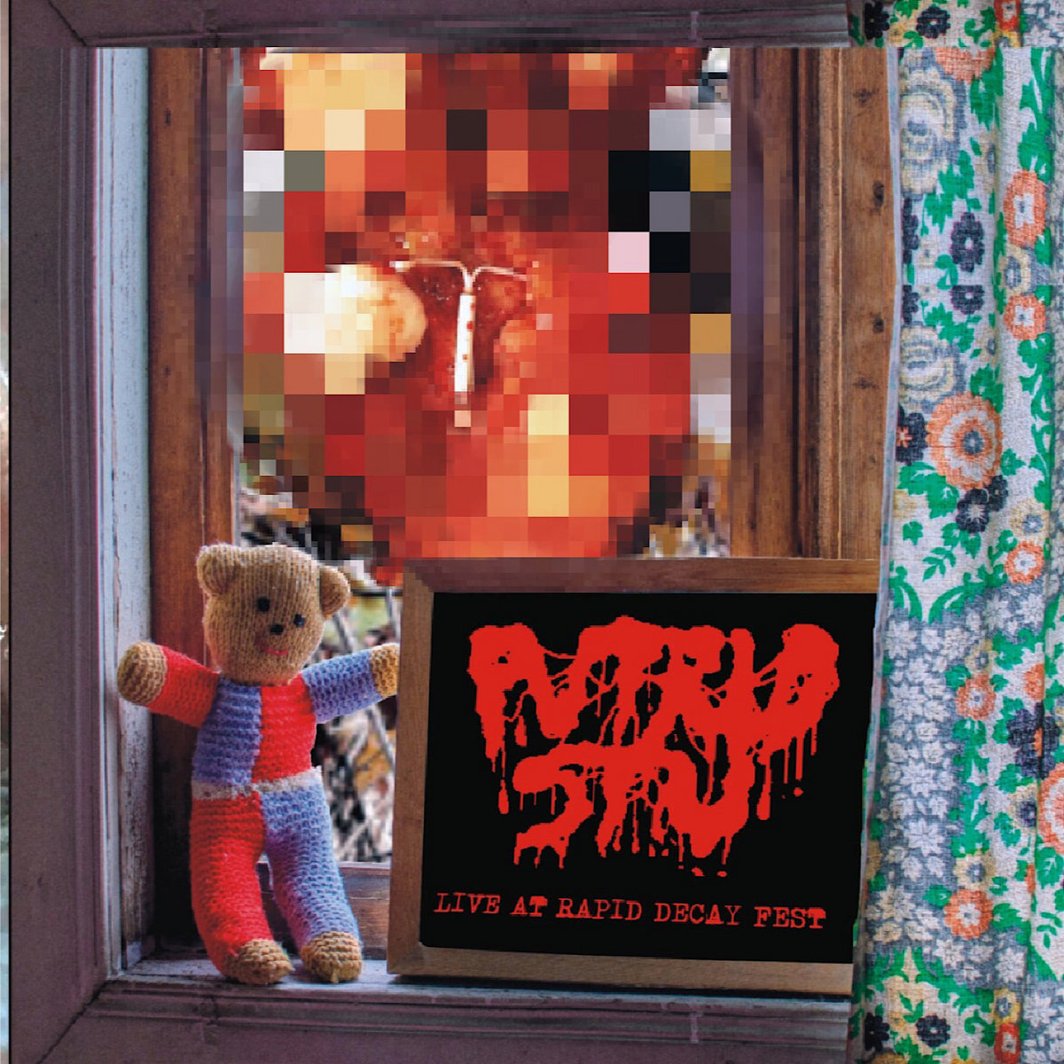 LIVE at Rapid Decay Fest III