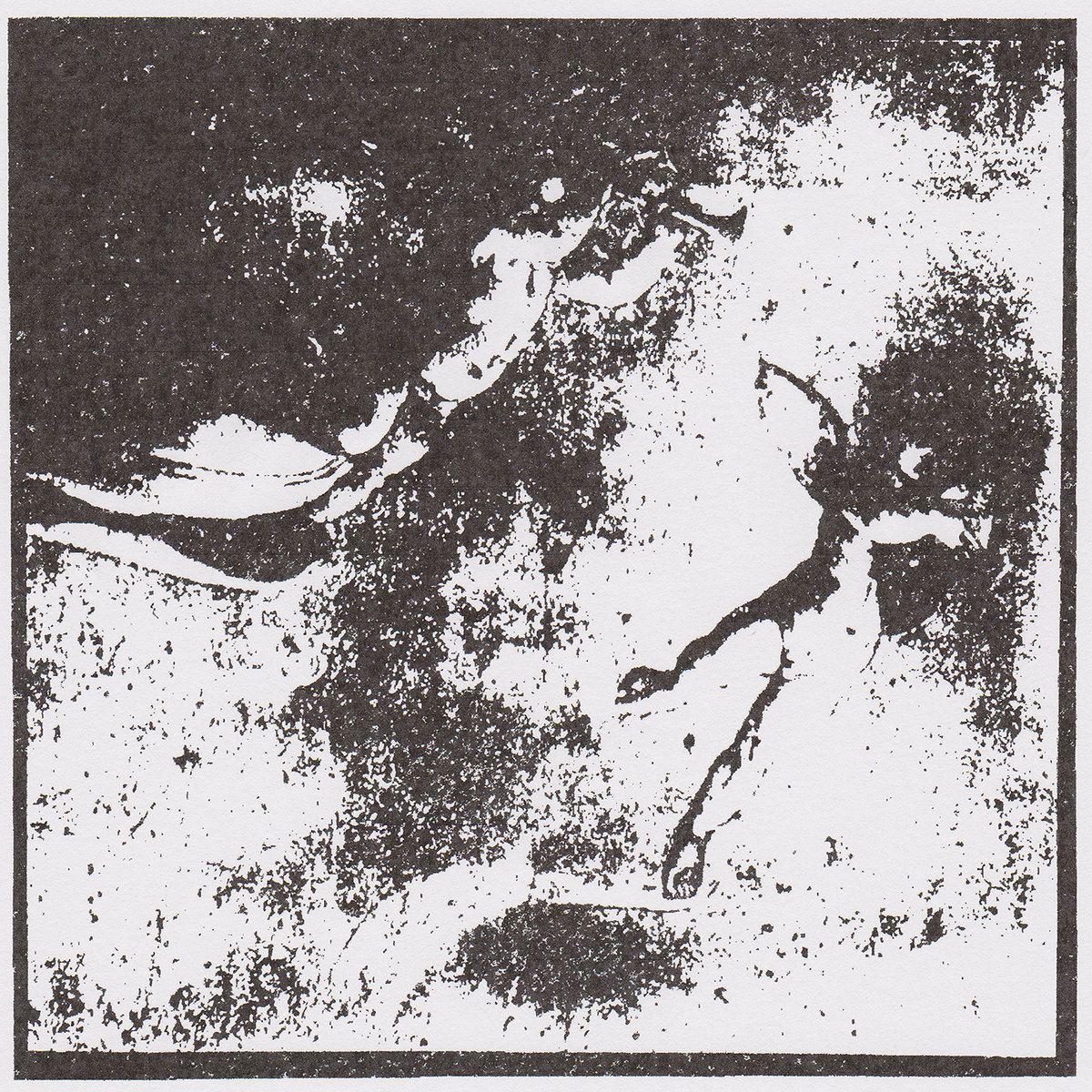 The Ascension From Heaven (Toadliquor Cover)