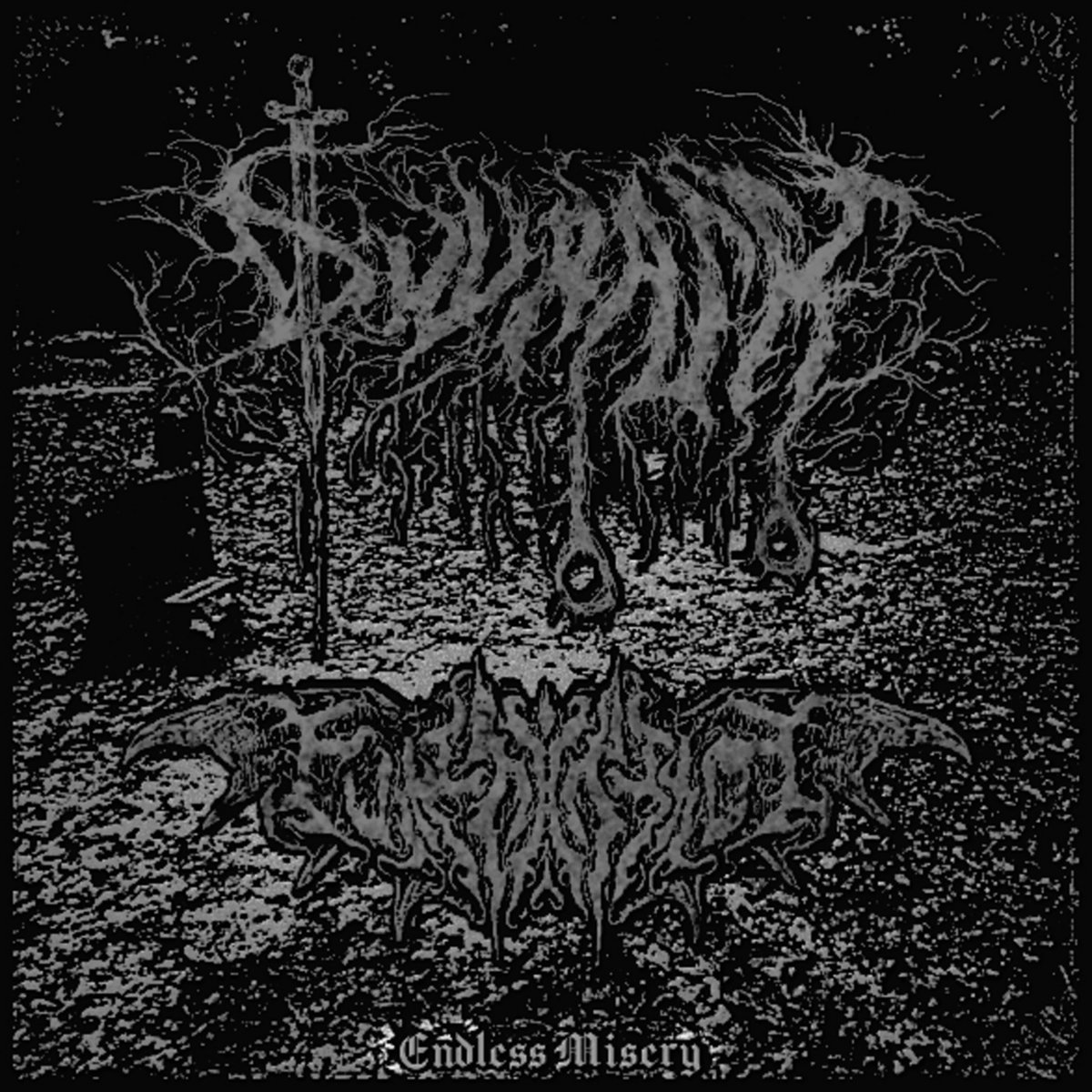 "Endless Misery" Split W/ Funeraria