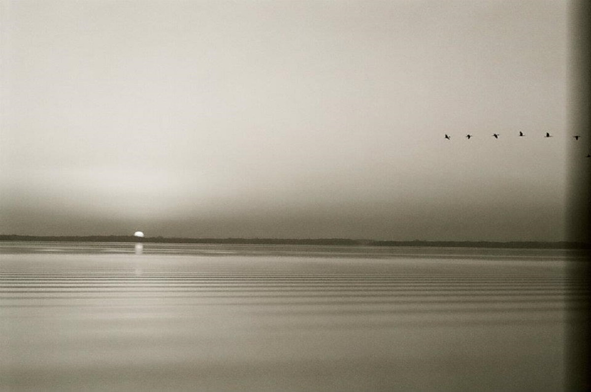 Monument to Self Destruction