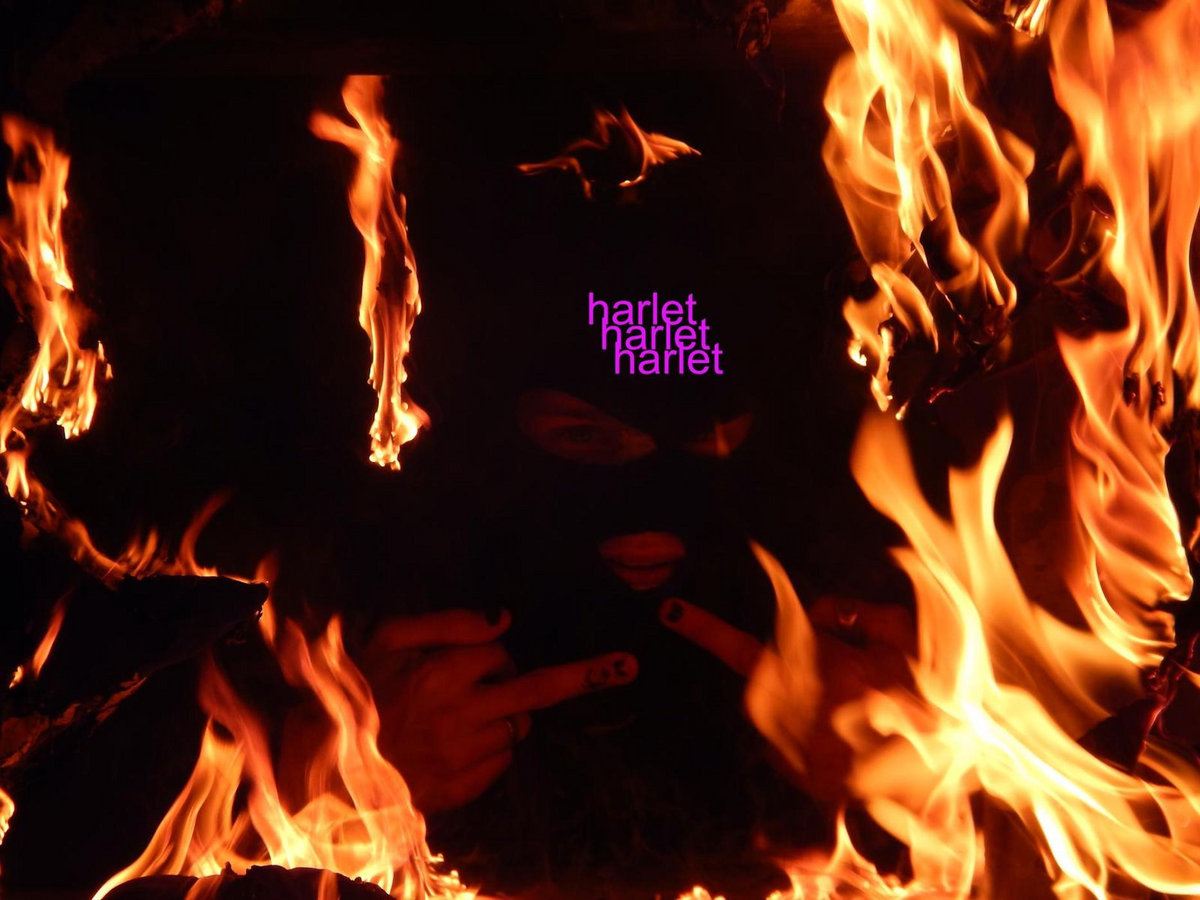 BITE THE HAND THAT FEEDS