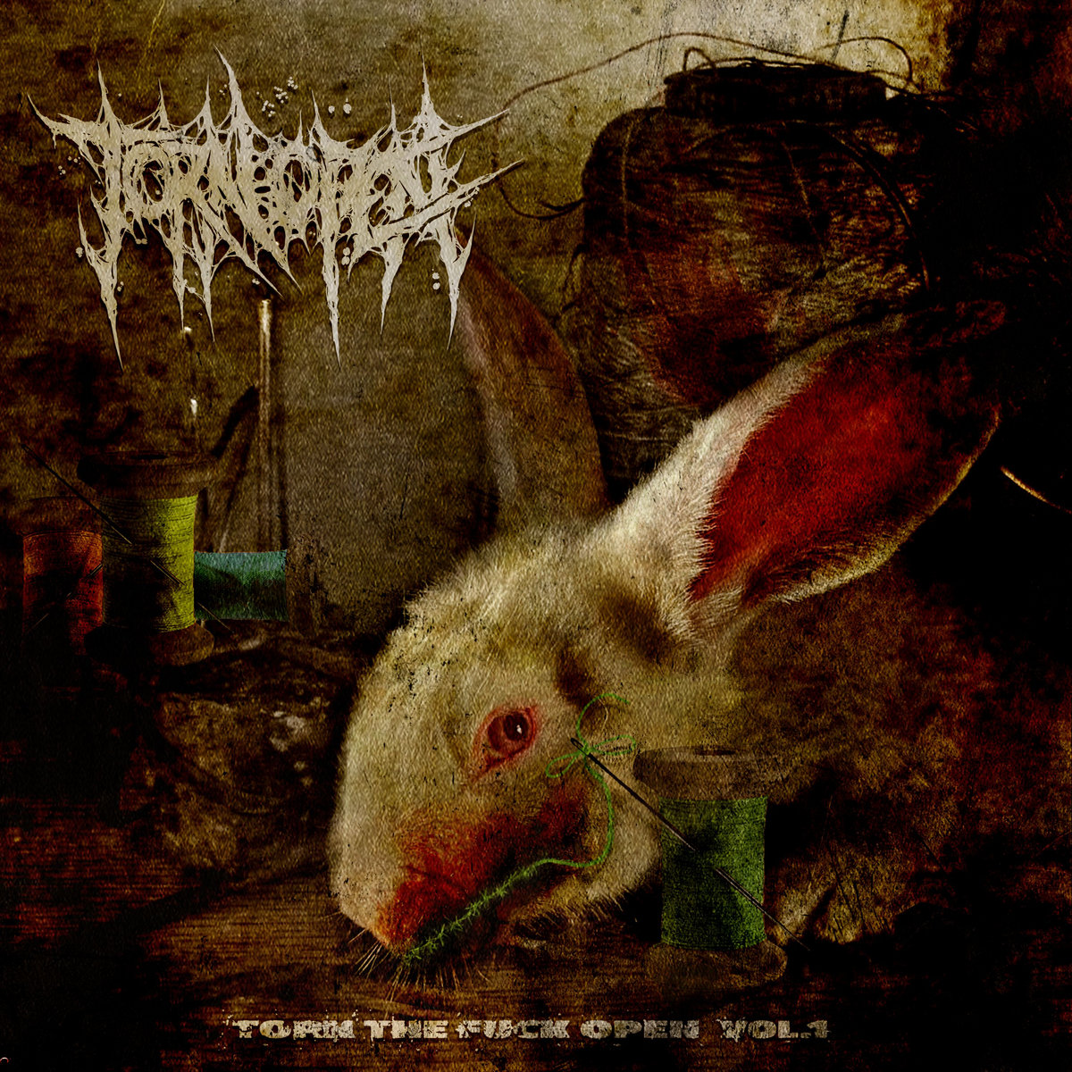 TORN THE FUCK OPEN Vol. 1