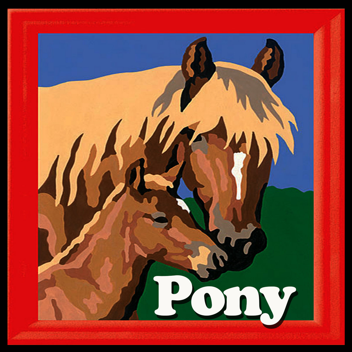 Pony