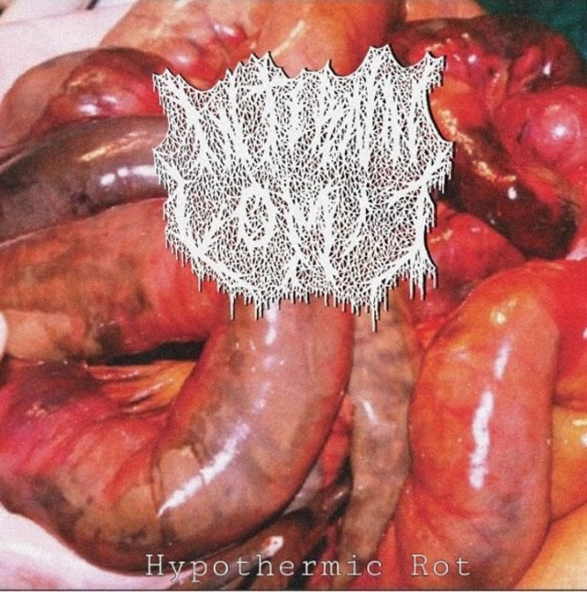 Hypothermic Rot (ft. Phoenix Tomlin Of Embryonic Decay)