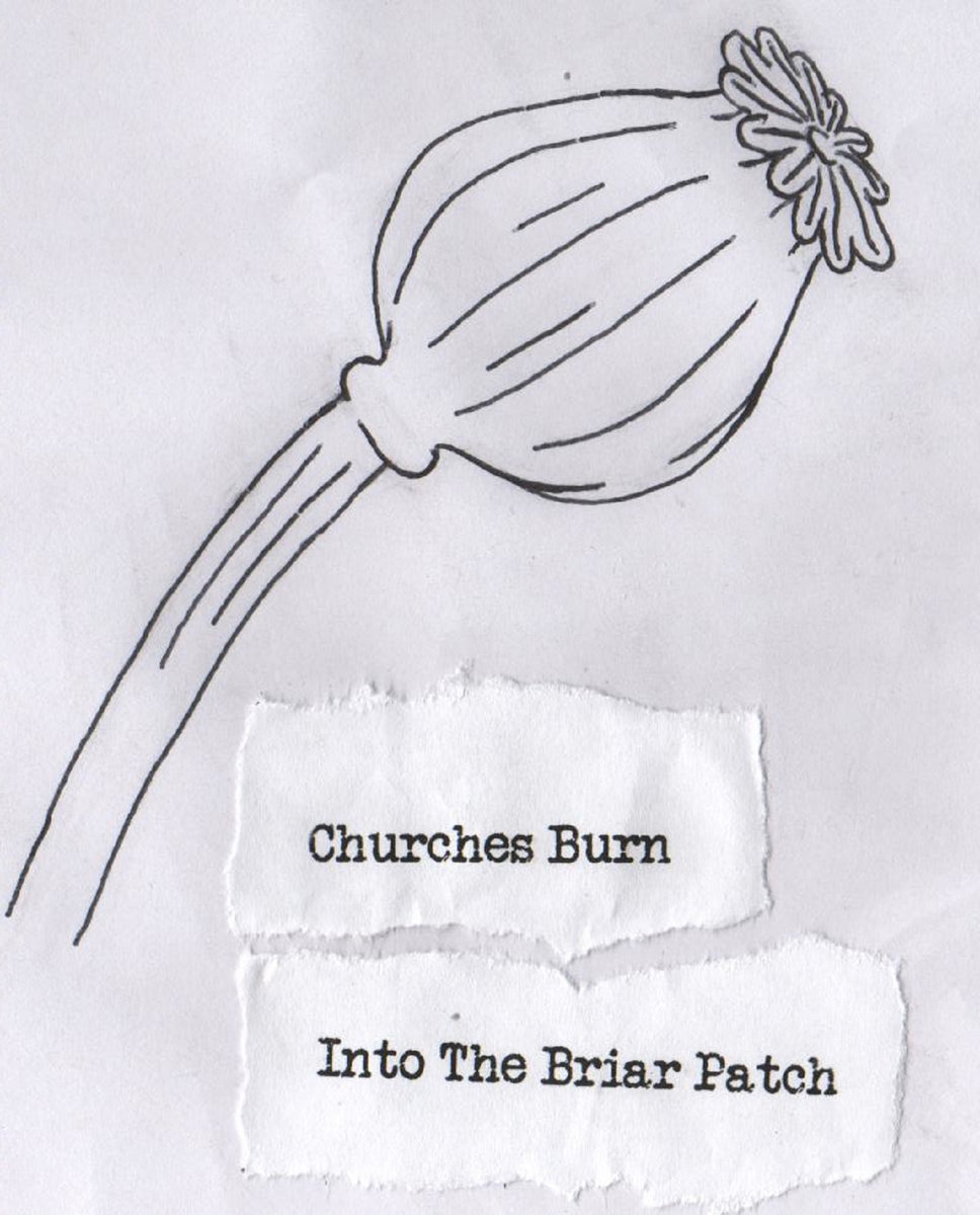 Into the Briar Patch