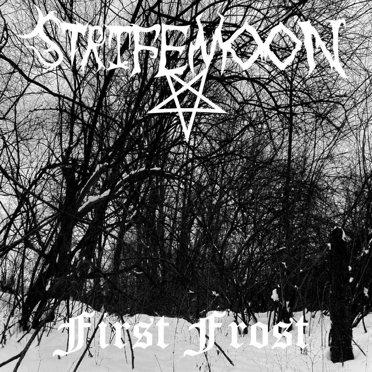 Emptiness In The Void