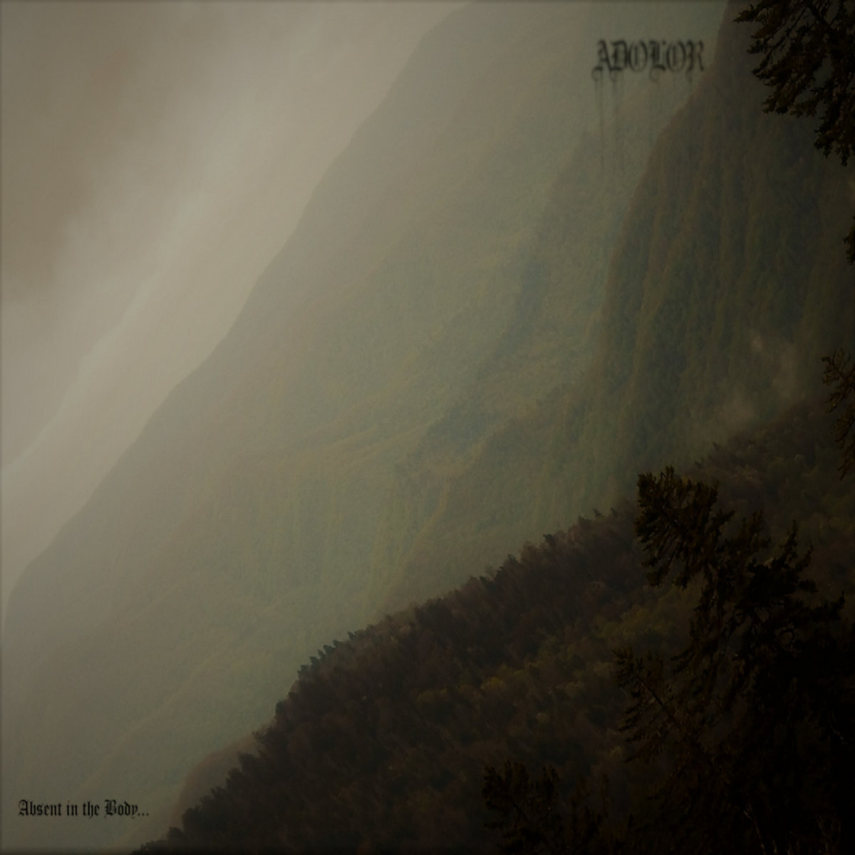 Absent in the Body...