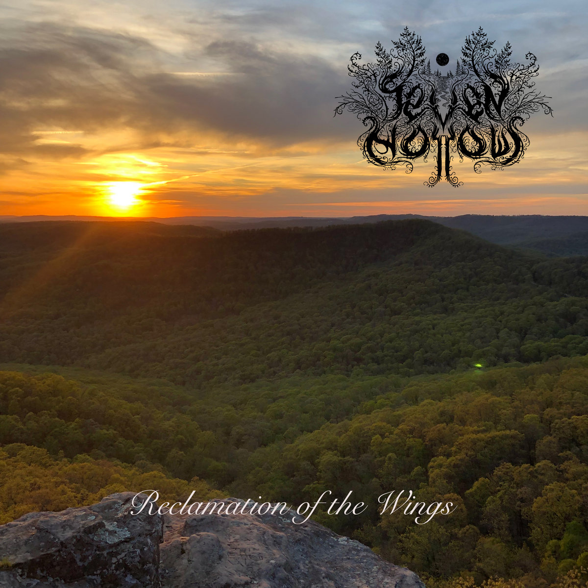 Reclamation of the Wings