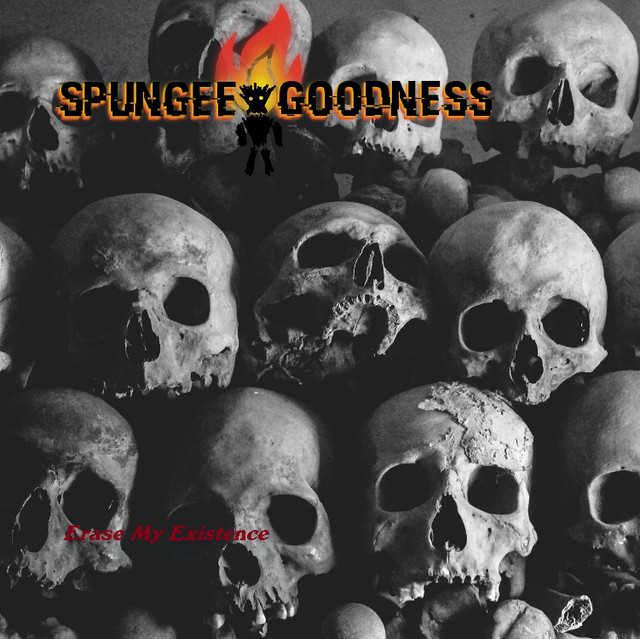 Spungee Goodness
