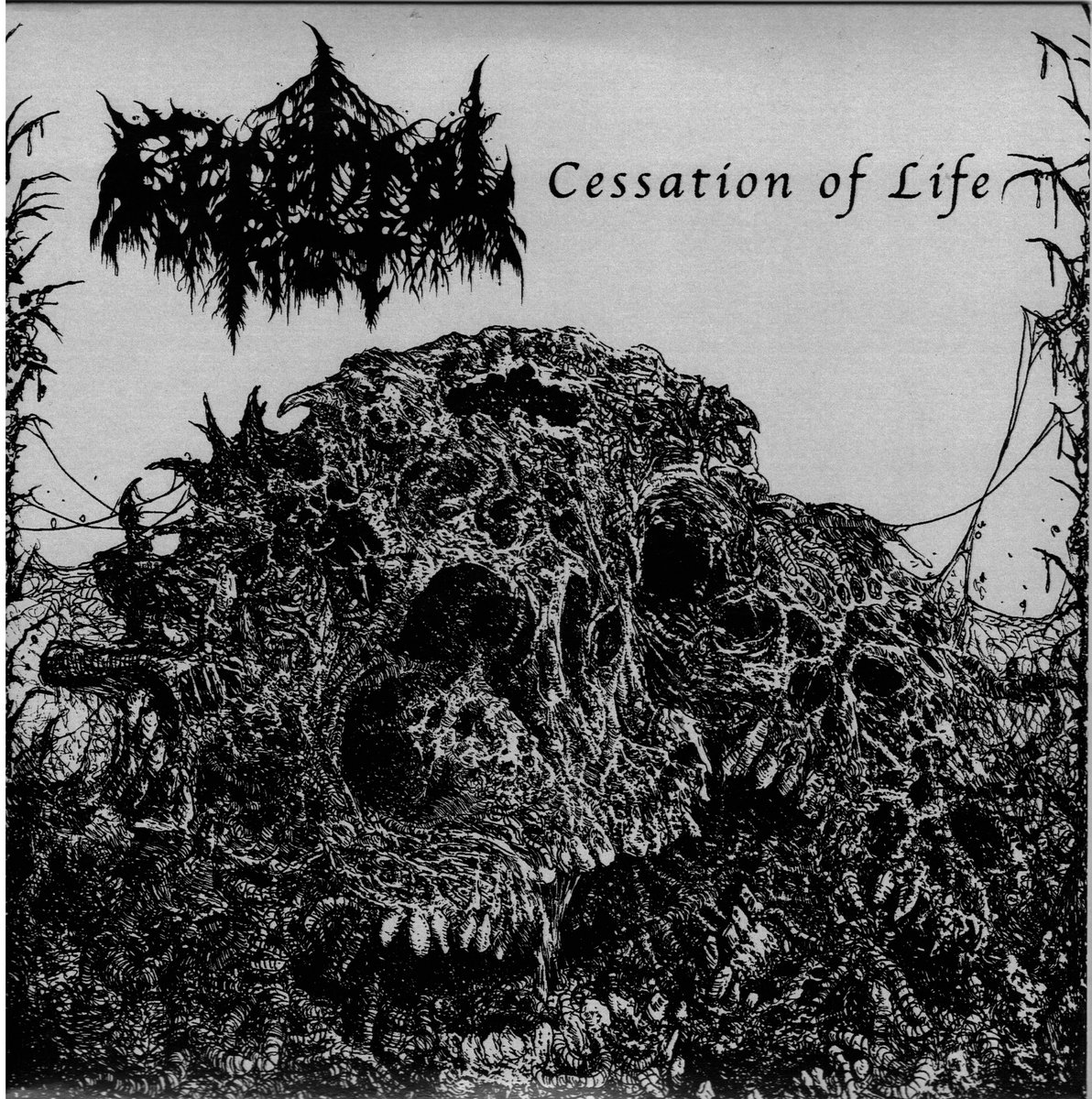 Cessation of Life