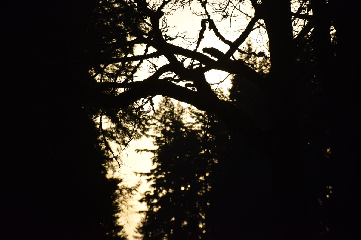 As We Waited On Dawn's Edge EP