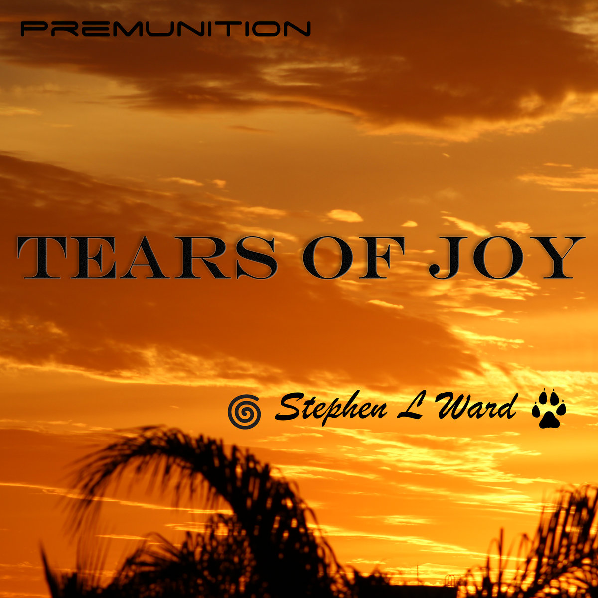 Tears Of Joy (cover)