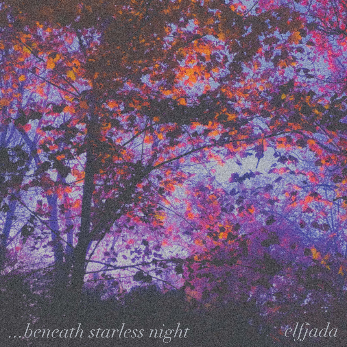 ...beneath starless night // elfjada
