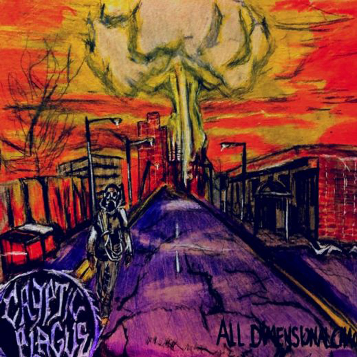 All Dimensional Chaos