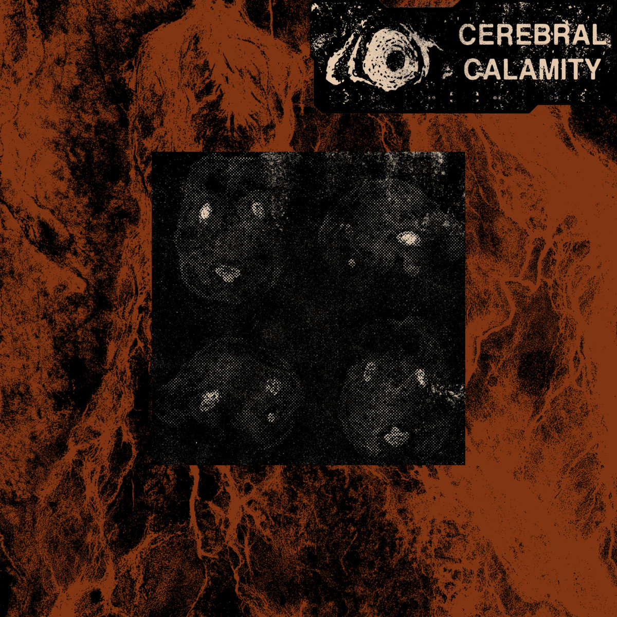 CEREBRAL CALAMITY / CASUAL MASOCHIST