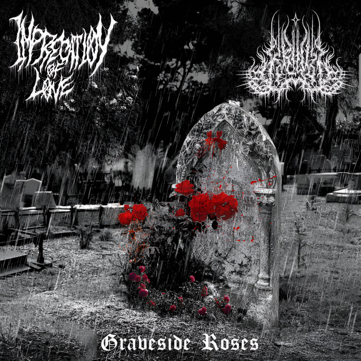 Graveside Roses
