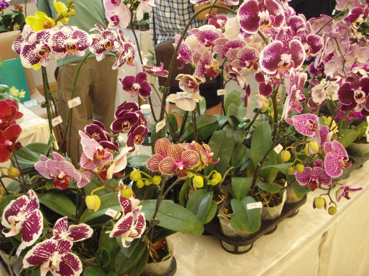 Winters in Osaka // Futureslum remixes