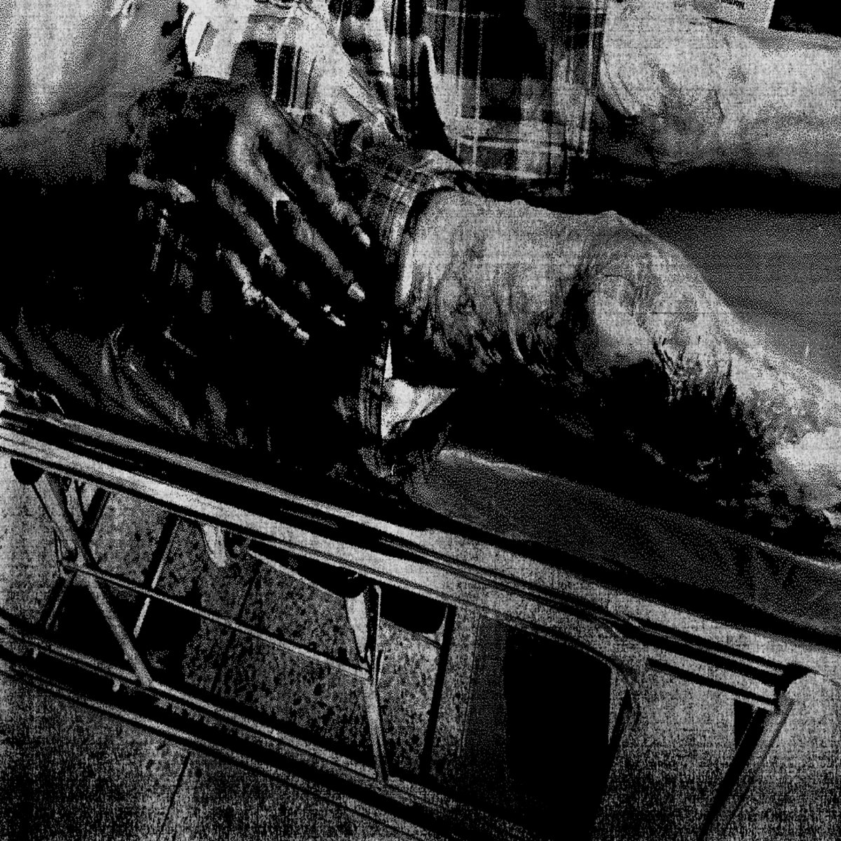 Blissfully Licking and Tumbling Over Remnants of Bodily Liquids With Sheer Adoration Towards Death and Decay